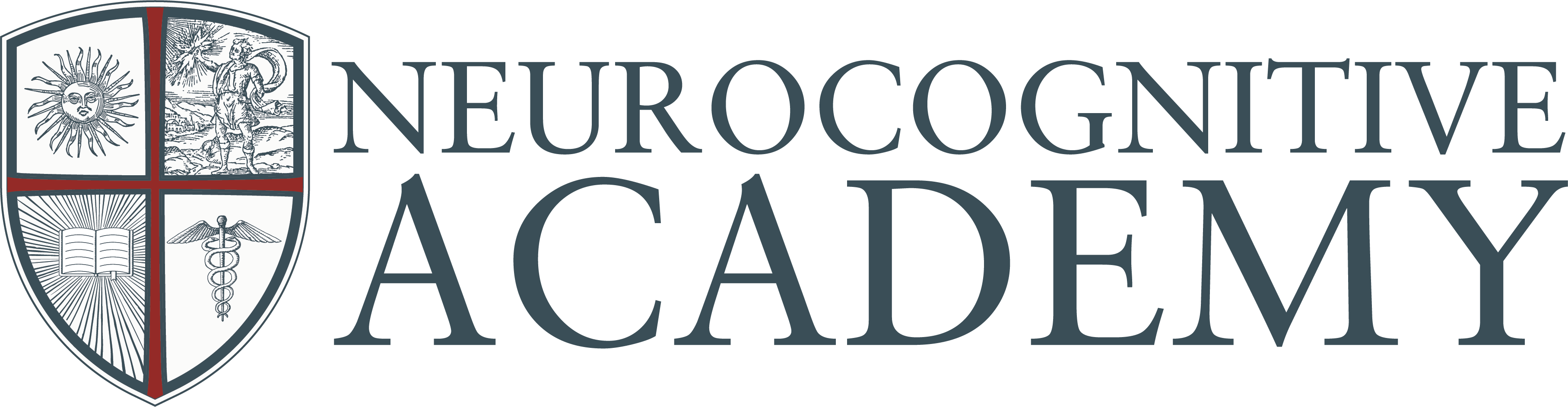 Logo Neurocognitive Academy