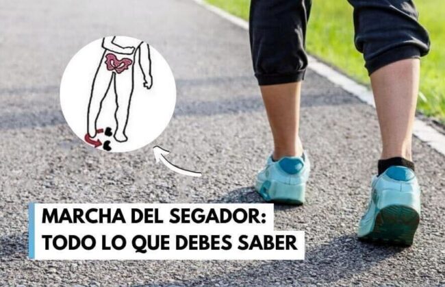 marcha del segador