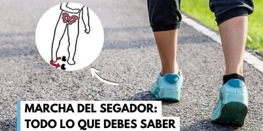 marcha del segador