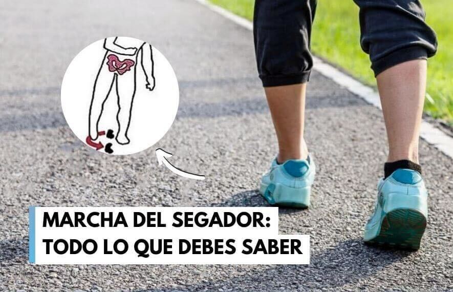 MARCHA DEL SEGADOR: TODO LO QUE DEBES SABER
