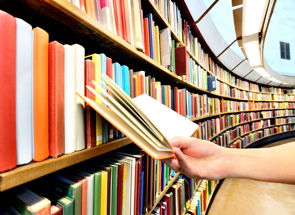 Consulta Bibliografica