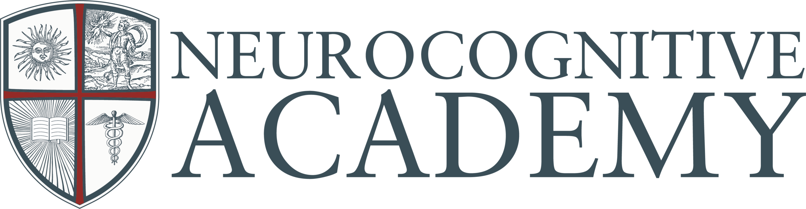 Neurocognitive Academy logo